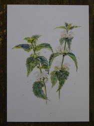 Deko-Pilz Rost